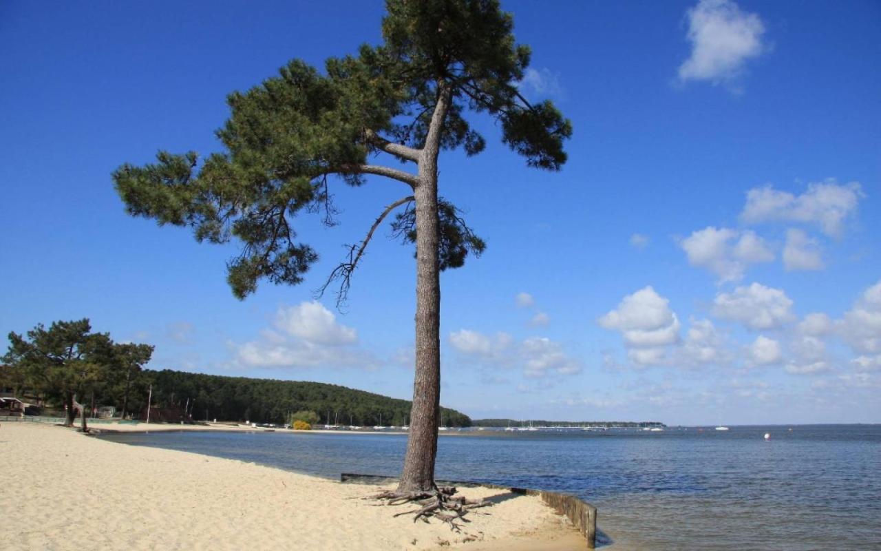 Maison Piscine 4 Ch Carcans Medoc Bassin Arcachon Экстерьер фото