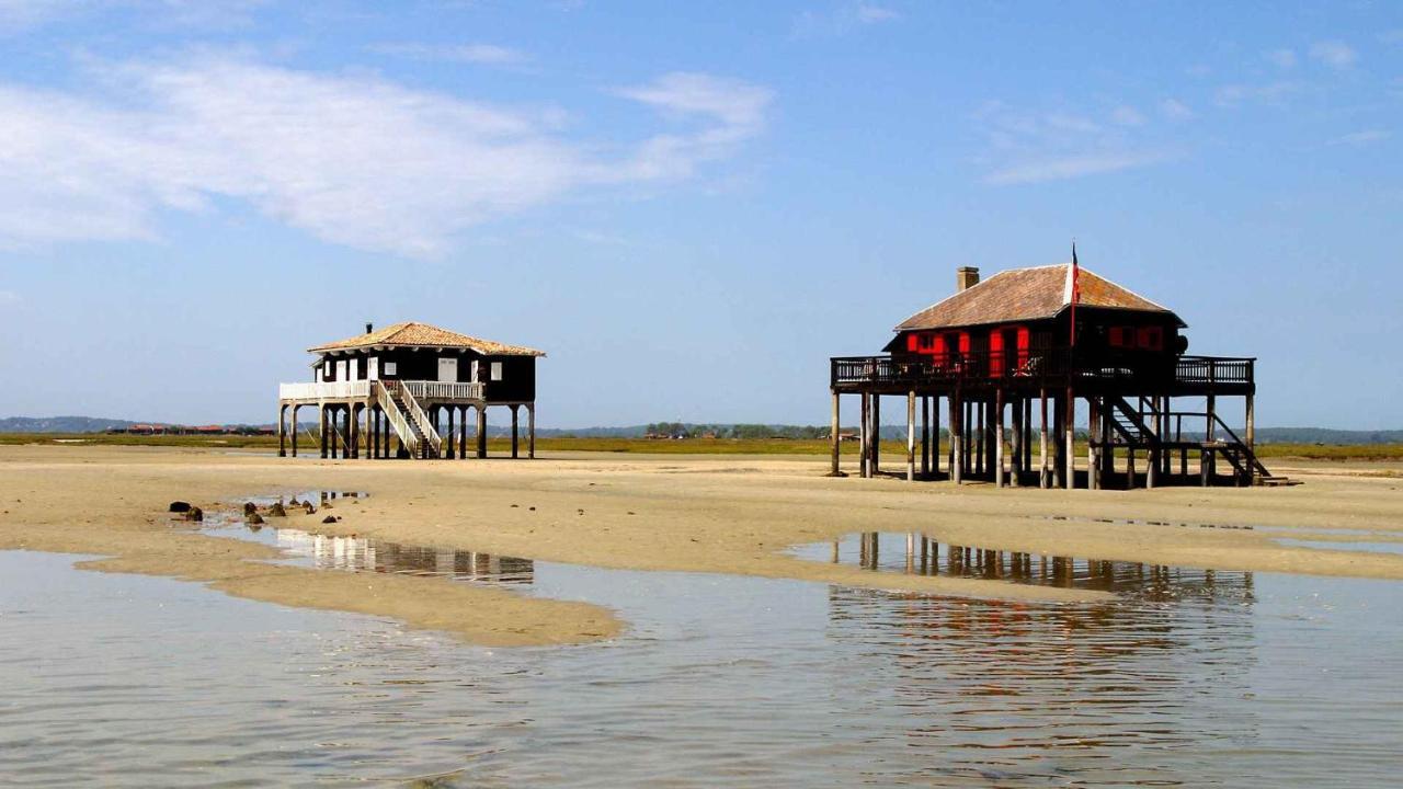 Maison Piscine 4 Ch Carcans Medoc Bassin Arcachon Экстерьер фото